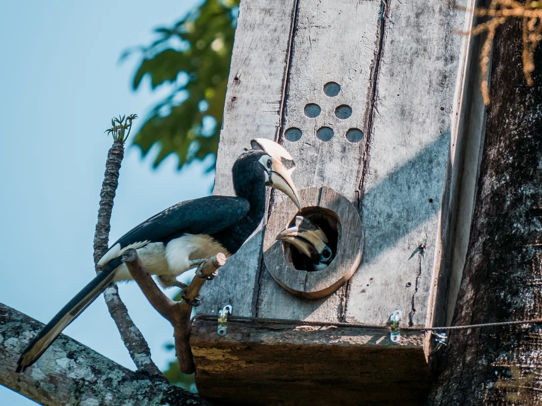 Measurable actions for positive impact